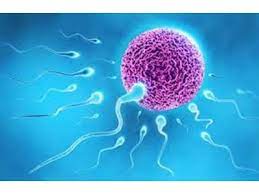 بررسی شکست DNA اسپرم