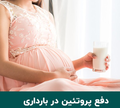 دفع پروتئین در بارداری